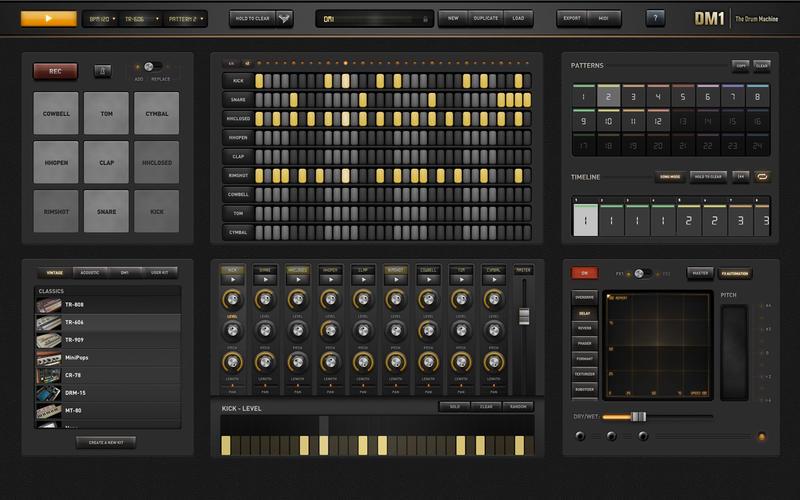 dm1