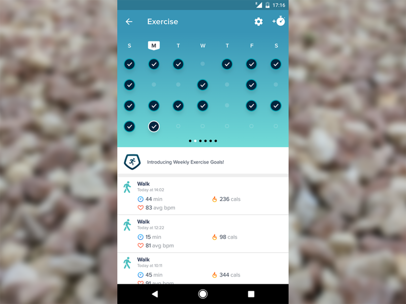 fitbit_charge_2_screenshot_exercise