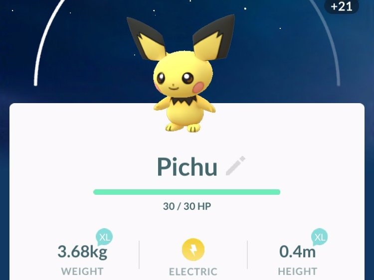 pichu